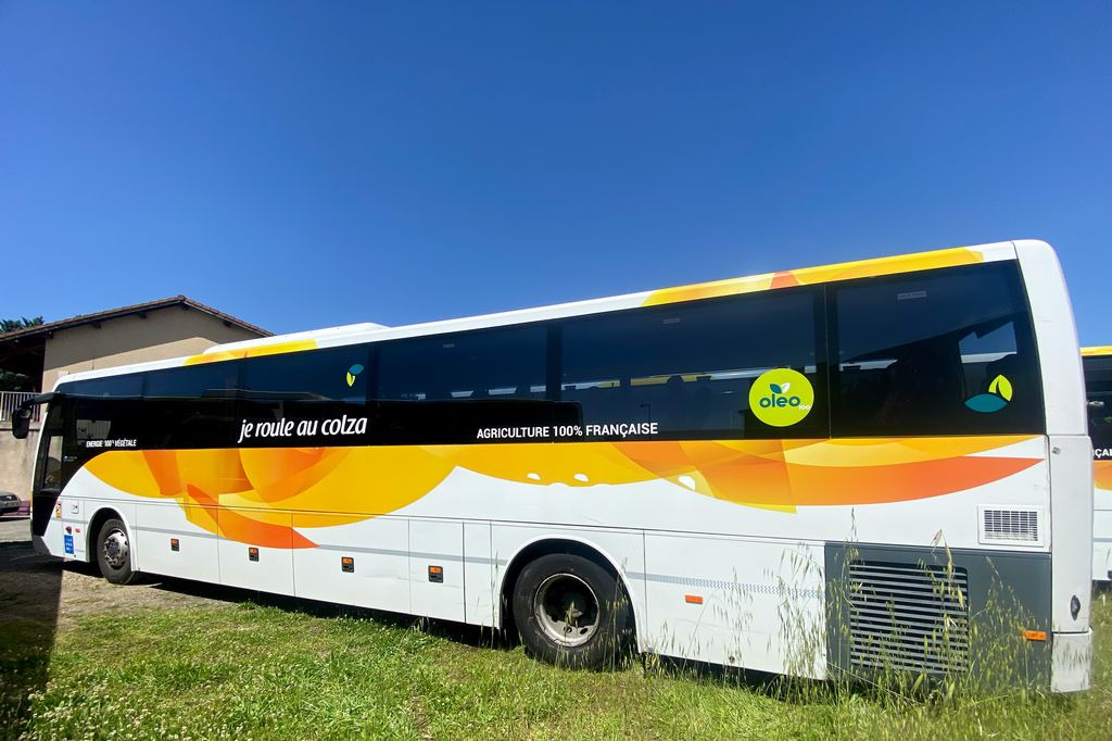 TEMSA SAFARI RD - Πούλμαν: φωτογραφία 4 TEMSA SAFARI RD - Πούλμαν: φωτογραφία 4