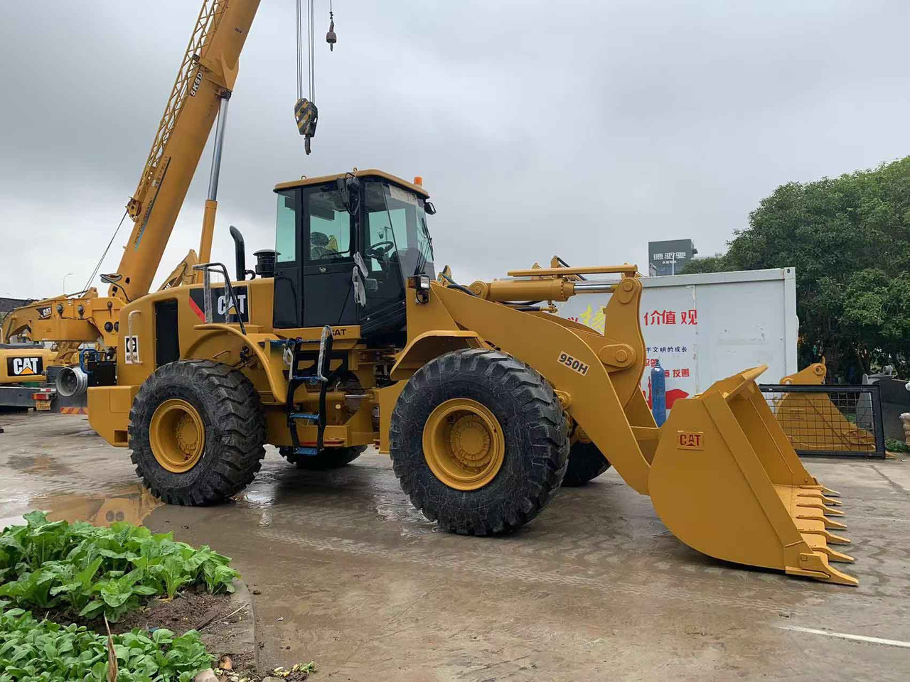 Caterpillar Wheel Loader CAT 950H, 950G Secondhand Condition - Ελαστιχοφόρος φορτωτής: φωτογραφία 2 Caterpillar Wheel Loader CAT 950H, 950G Secondhand Condition - Ελαστιχοφόρος φορτωτής: φωτογραφία 2