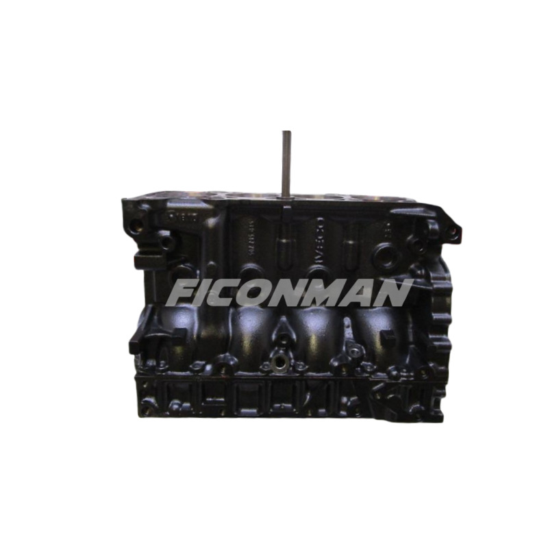 Iveco IVECO Daily Fiat Ducato F1AE Cylinder Block 504049279 504199294 504388701 5801488491 - Μπλοκ κυλίνδρων για Ελαφρύ επαγγελματικό: φωτογραφία 2 Iveco IVECO Daily Fiat Ducato F1AE Cylinder Block 504049279 504199294 504388701 5801488491 - Μπλοκ κυλίνδρων για Ελαφρύ επαγγελματικό: φωτογραφία 2