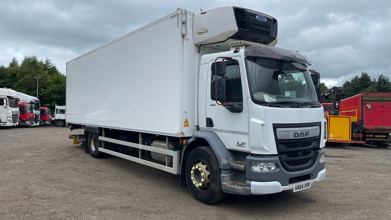DAF LF 220 - Φορτηγό ψυγείο: φωτογραφία 1 DAF LF 220 - Φορτηγό ψυγείο: φωτογραφία 1