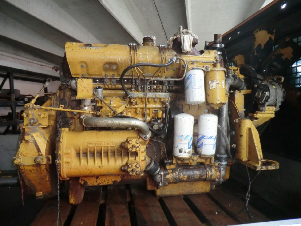 FIAT 8215-02 *542 Motore perfettamente funzionante completo di pompa nafta e iniettori revisionati. - Κινητήρας για Κατασκευή μηχανήματα: φωτογραφία 1 FIAT 8215-02 *542 Motore perfettamente funzionante completo di pompa nafta e iniettori revisionati. - Κινητήρας για Κατασκευή μηχανήματα: φωτογραφία 1