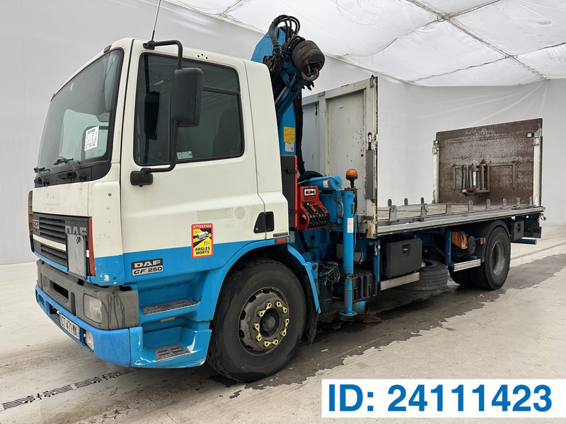 DAF CF75.250* - Φορτηγό με ανοιχτή καρότσα, Φορτηγό με γερανό: φωτογραφία 1 DAF CF75.250* - Φορτηγό με ανοιχτή καρότσα, Φορτηγό με γερανό: φωτογραφία 1