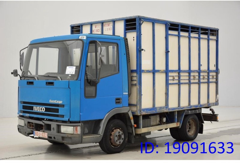 Iveco 65E14* - Φορτηγό μεταφορά ζώων: φωτογραφία 1 Iveco 65E14* - Φορτηγό μεταφορά ζώων: φωτογραφία 1