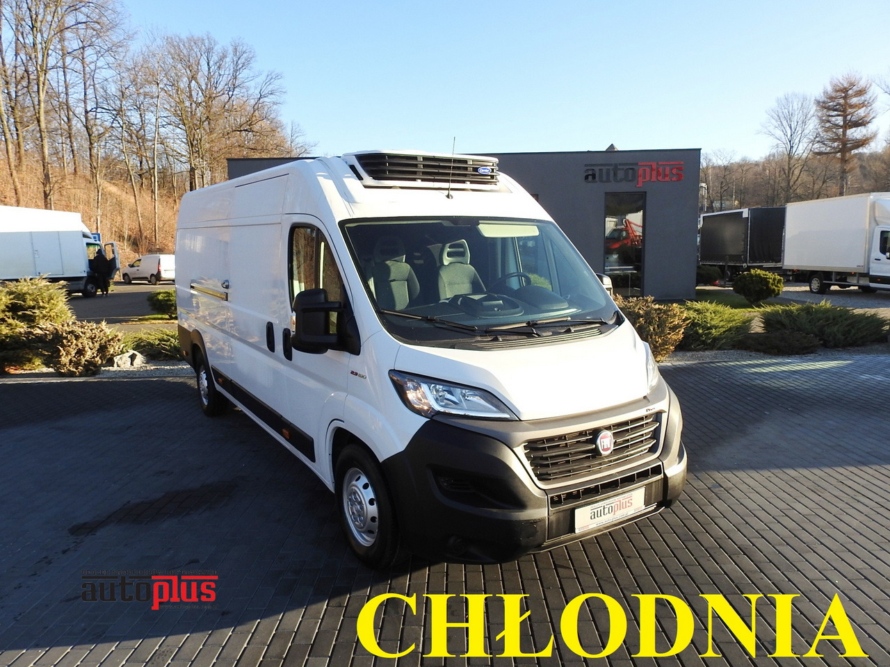 FIAT DUCATO REFRIGERATOR VAN -10*C POWER SUPPLY 230V AIR CONDITIONING 175HP - Επαγγελματικό αυτοκίνητο ψυγείο: φωτογραφία 1 FIAT DUCATO REFRIGERATOR VAN -10*C POWER SUPPLY 230V AIR CONDITIONING 175HP - Επαγγελματικό αυτοκίνητο ψυγείο: φωτογραφία 1