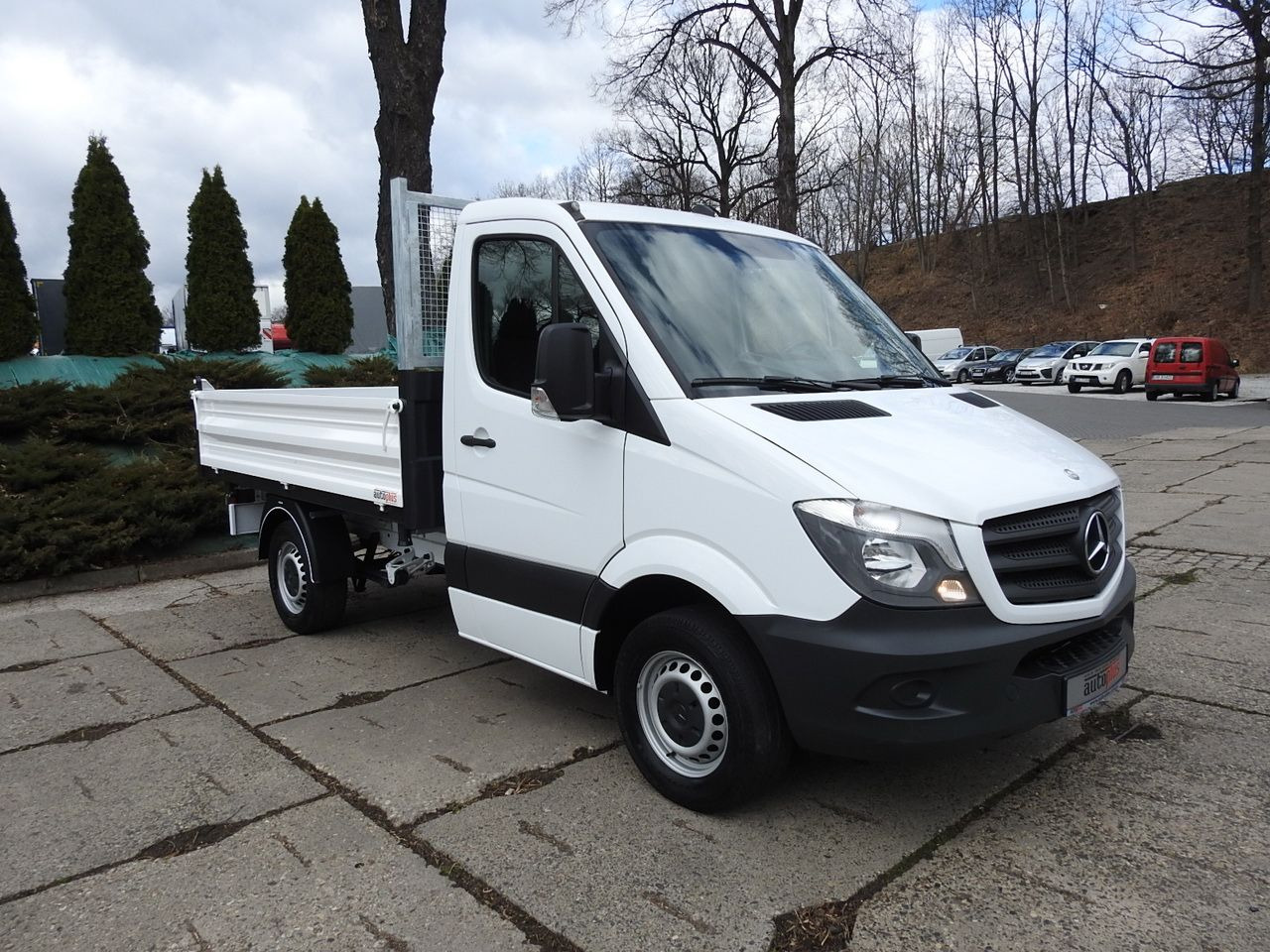MERCEDES SPRINTER 316 THREE-WAY TIPPER CRUISE CONTROL AUTOMATIC TRANSMISSION AIR CONDITIONING 160HP - Όχημα με ανατρεπομενη καροτσα: φωτογραφία 4 MERCEDES SPRINTER 316 THREE-WAY TIPPER CRUISE CONTROL AUTOMATIC TRANSMISSION AIR CONDITIONING 160HP - Όχημα με ανατρεπομενη καροτσα: φωτογραφία 4