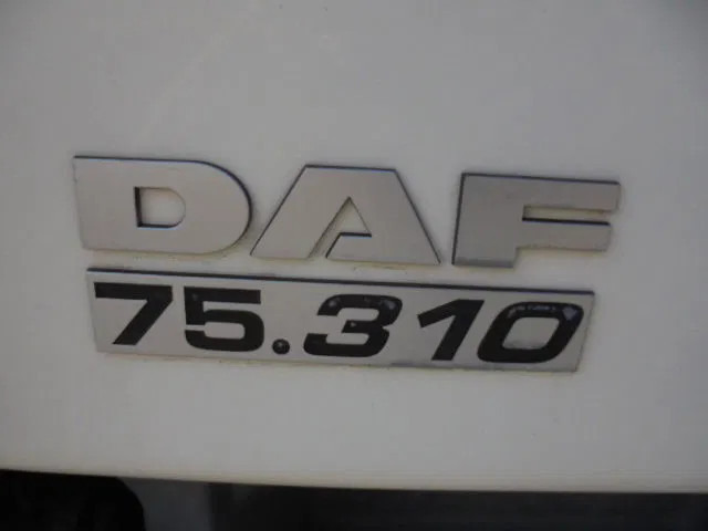 Φορτηγό με γερανό DAF CF 310 EEV 6X2 NL KENTEKEN: φωτογραφία 16