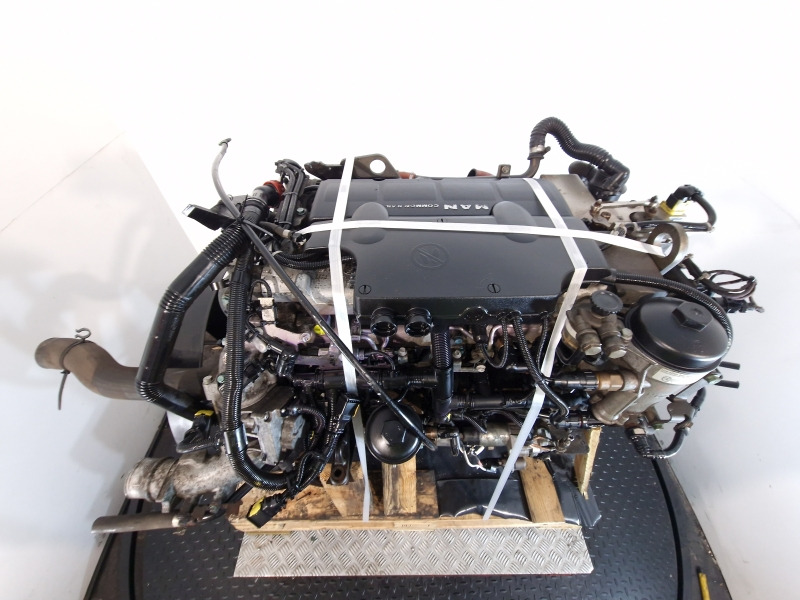 Κινητήρας για Φορτηγό MAN D0834 LFL67 Engine (Truck): φωτογραφία 10