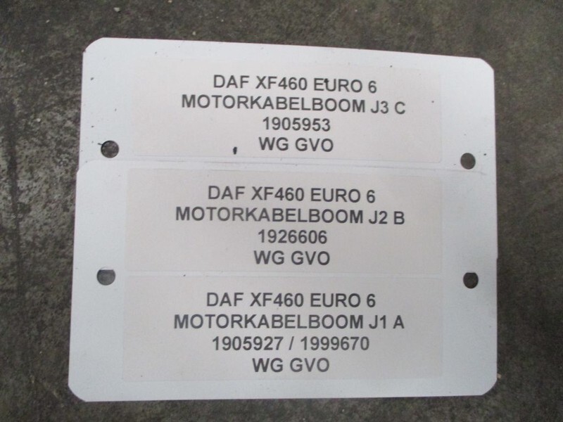 DAF XF460 1905953 / 1926606 / 1905927 KABELBOOM MX13 EURO 6 - Ηλεκτρικό σύστημα για Φορτηγό: φωτογραφία 2 DAF XF460 1905953 / 1926606 / 1905927 KABELBOOM MX13 EURO 6 - Ηλεκτρικό σύστημα για Φορτηγό: φωτογραφία 2