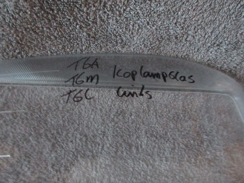 MAN 81.25110-0080 LINKS // 81.25110-0081 RECGTS KOPLAMP GLAS TGA TGM TGL NIEUWE !! - Προβολέας για Φορτηγό: φωτογραφία 3 MAN 81.25110-0080 LINKS // 81.25110-0081 RECGTS KOPLAMP GLAS TGA TGM TGL NIEUWE !! - Προβολέας για Φορτηγό: φωτογραφία 3