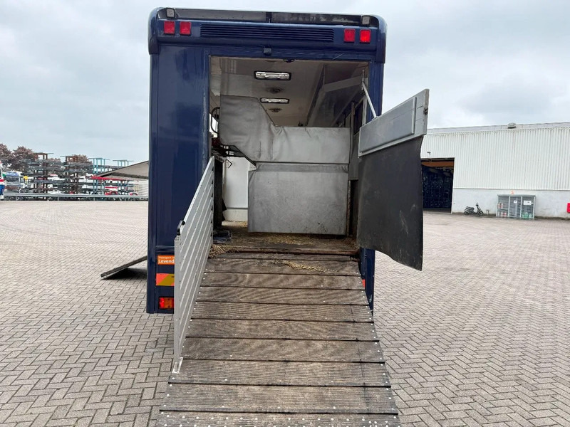 Mercedes-Benz Atego 1223 / ENGINE RUNNING / ONLY:159450 KM / HORSETRUCK / HEATED BOX / WATERTANK / LIVING ROOM / EURO-2 / MANUAL / 1998 - Φορτηγό μεταφοράς αλόγων: φωτογραφία 5 Mercedes-Benz Atego 1223 / ENGINE RUNNING / ONLY:159450 KM / HORSETRUCK / HEATED BOX / WATERTANK / LIVING ROOM / EURO-2 / MANUAL / 1998 - Φορτηγό μεταφοράς αλόγων: φωτογραφία 5