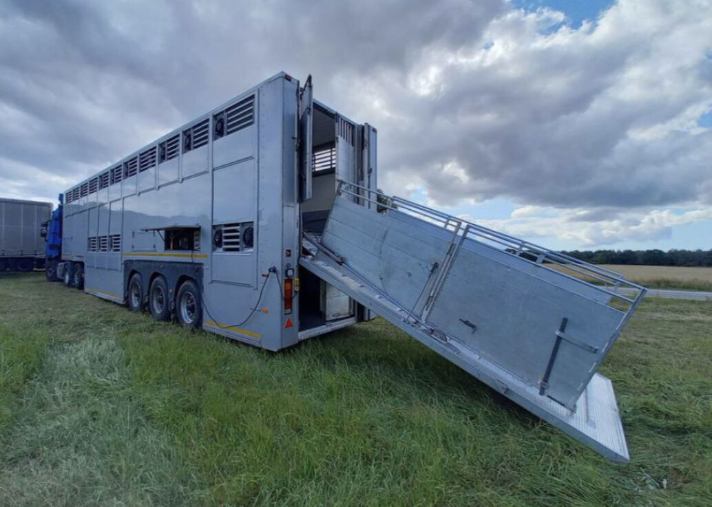 Επικαθήμενο μεταφορά ζώων Gray and Adams Gadd3 / Works Great / Hydraulic / 2 Levels: φωτογραφία 21 Επικαθήμενο μεταφορά ζώων Gray and Adams Gadd3 / Works Great / Hydraulic / 2 Levels: φωτογραφία 21