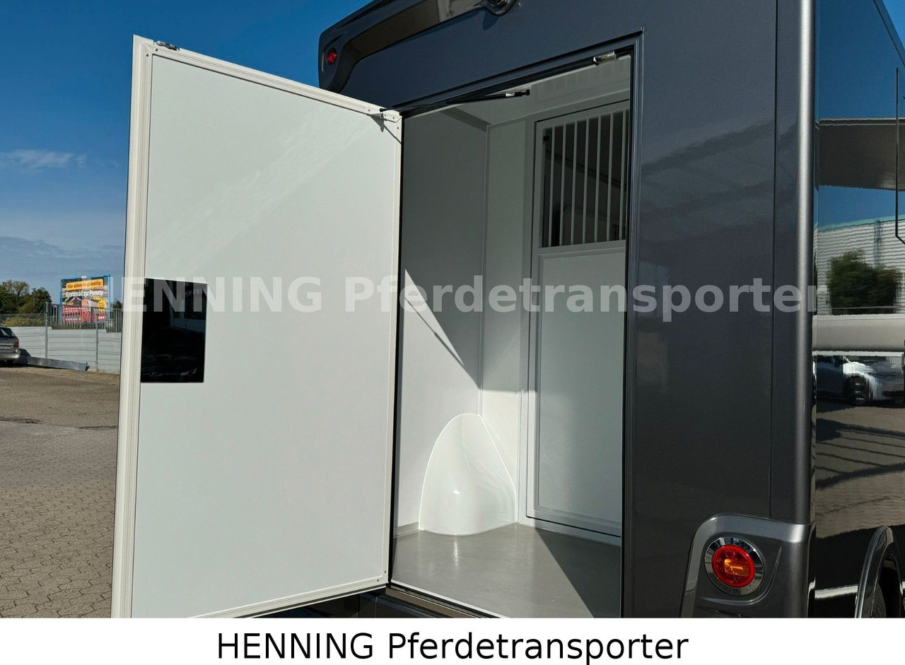 Φορτηγό μεταφορά ζώων MAN TGE 3 - Sitzer *KLIMA PFERDEABTEIL*: φωτογραφία 10