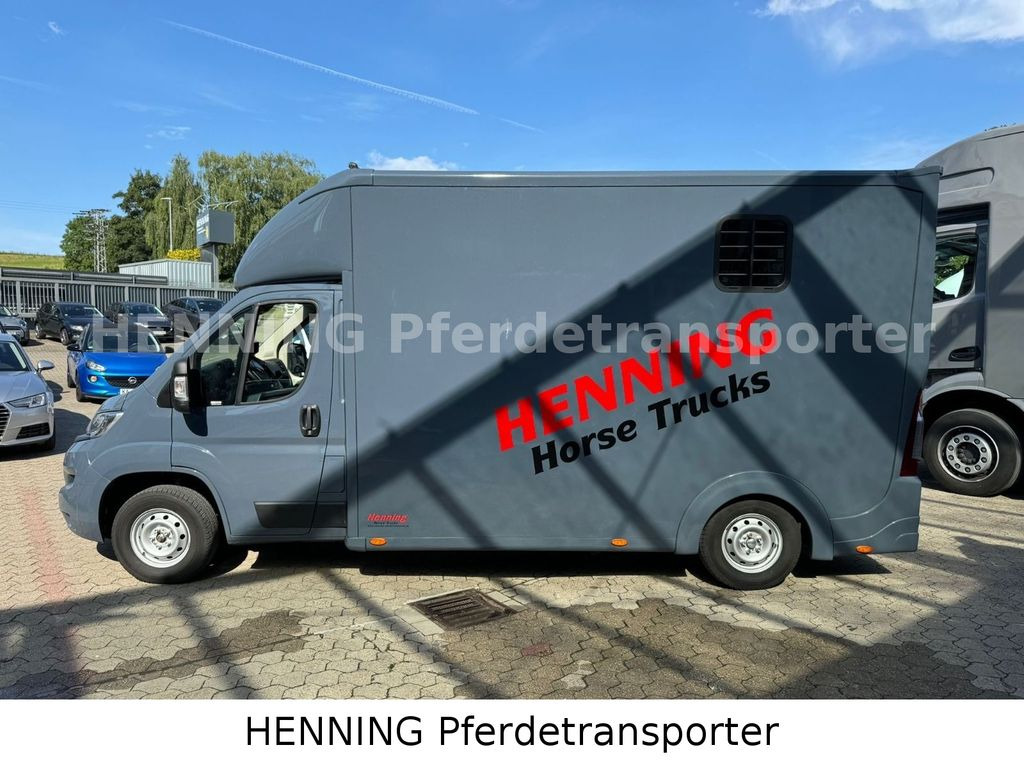 Φορτηγό μεταφοράς αλόγων Opel Movano 3 - Sitzer *AUFBAU NEU*: φωτογραφία 10 Φορτηγό μεταφοράς αλόγων Opel Movano 3 - Sitzer *AUFBAU NEU*: φωτογραφία 10
