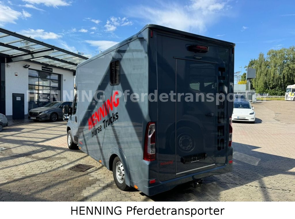 Φορτηγό μεταφοράς αλόγων Opel Movano 3 - Sitzer *AUFBAU NEU*: φωτογραφία 8 Φορτηγό μεταφοράς αλόγων Opel Movano 3 - Sitzer *AUFBAU NEU*: φωτογραφία 8