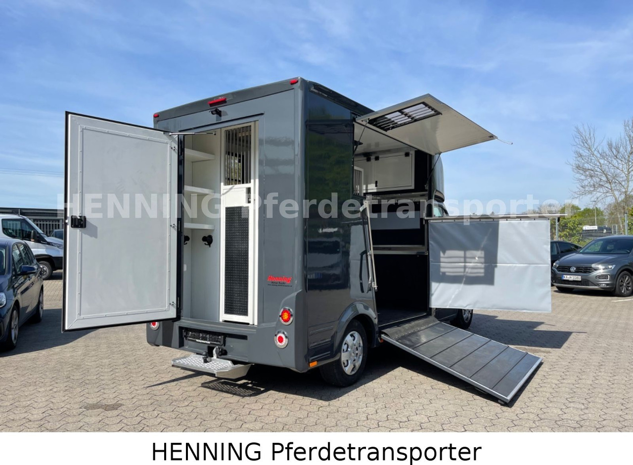 Φορτηγό μεταφορά ζώων Renault Master 3 - Sitzer *Automatik*: φωτογραφία 6 Φορτηγό μεταφορά ζώων Renault Master 3 - Sitzer *Automatik*: φωτογραφία 6