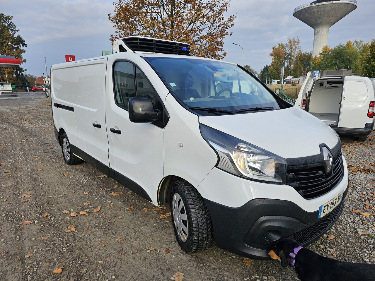 RENAULT TRAFIC MAXI LONG CHLODNIA MROZNIA CARRIER+230V KLIMA NAVI KAMERA EURO6 - Επαγγελματικό αυτοκίνητο ψυγείο: φωτογραφία 1 RENAULT TRAFIC MAXI LONG CHLODNIA MROZNIA CARRIER+230V KLIMA NAVI KAMERA EURO6 - Επαγγελματικό αυτοκίνητο ψυγείο: φωτογραφία 1