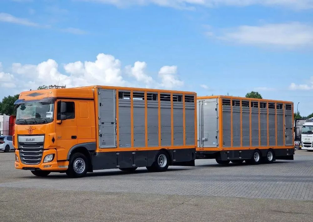 DAF XF 460 4x2 SpaceCab – Menke Livestock | 1 pokład | Euro 6 | 2016 - Φορτηγό μεταφορά ζώων: φωτογραφία 1 DAF XF 460 4x2 SpaceCab – Menke Livestock | 1 pokład | Euro 6 | 2016 - Φορτηγό μεταφορά ζώων: φωτογραφία 1