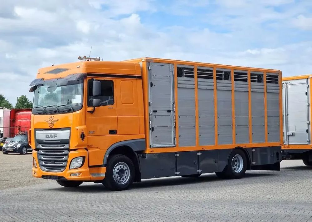 DAF XF 460 4x2 SpaceCab – Menke Livestock | 1 pokład | Euro 6 | 2016 - Φορτηγό μεταφορά ζώων: φωτογραφία 2 DAF XF 460 4x2 SpaceCab – Menke Livestock | 1 pokład | Euro 6 | 2016 - Φορτηγό μεταφορά ζώων: φωτογραφία 2