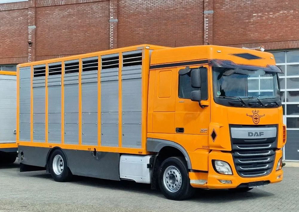 DAF XF 460 4x2 SpaceCab – Menke Livestock | 1 pokład | Euro 6 | 2016 - Φορτηγό μεταφορά ζώων: φωτογραφία 4 DAF XF 460 4x2 SpaceCab – Menke Livestock | 1 pokład | Euro 6 | 2016 - Φορτηγό μεταφορά ζώων: φωτογραφία 4
