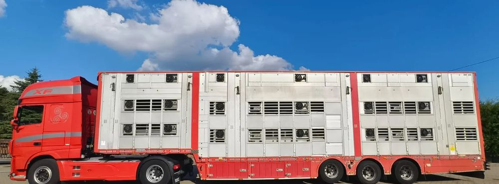 Pezzaioli 2017 / 3 POZIOMY / TRANSPORT ZWIERZĄT / HYDRAULIKA / STEROWANIE PILOTEM/ PODNOSZONY DACH / - Επικαθήμενο μεταφορά ζώων: φωτογραφία 2 Pezzaioli 2017 / 3 POZIOMY / TRANSPORT ZWIERZĄT / HYDRAULIKA / STEROWANIE PILOTEM/ PODNOSZONY DACH / - Επικαθήμενο μεταφορά ζώων: φωτογραφία 2