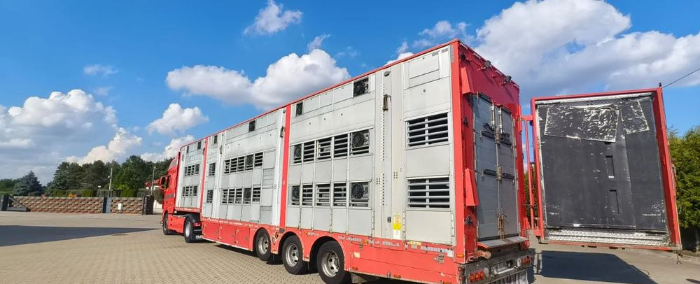 Pezzaioli 2017 / 3 POZIOMY / TRANSPORT ZWIERZĄT / HYDRAULIKA / STEROWANIE PILOTEM/ PODNOSZONY DACH / - Επικαθήμενο μεταφορά ζώων: φωτογραφία 1 Pezzaioli 2017 / 3 POZIOMY / TRANSPORT ZWIERZĄT / HYDRAULIKA / STEROWANIE PILOTEM/ PODNOSZONY DACH / - Επικαθήμενο μεταφορά ζώων: φωτογραφία 1