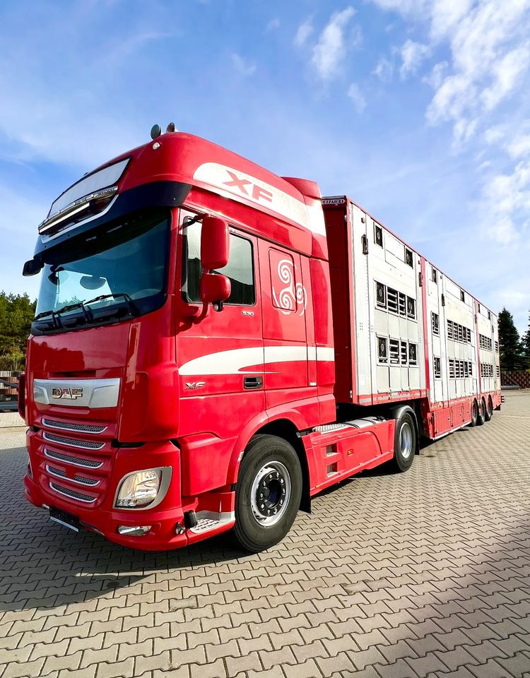 Pezzaioli NACZEPA 2017 / 3 POZIOMY / TRANSPORT ZWIERZĄT / HYDRAULIKA / STEROWANIE PILOTEM/ PODNOSZONY DACH / - Επικαθήμενο μεταφορά ζώων: φωτογραφία 5 Pezzaioli NACZEPA 2017 / 3 POZIOMY / TRANSPORT ZWIERZĄT / HYDRAULIKA / STEROWANIE PILOTEM/ PODNOSZONY DACH / - Επικαθήμενο μεταφορά ζώων: φωτογραφία 5