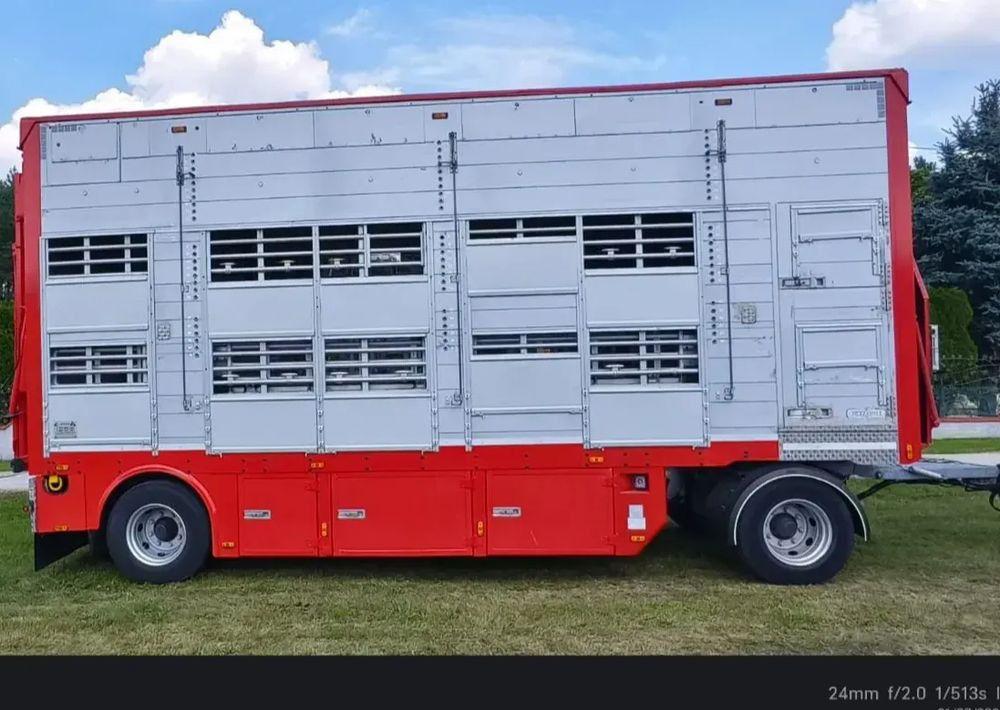 Ρυμούλκα μεταφορά ζώων Pezzaioli RBA22 Dwuosiowa Przyczepa – 2x Bydło, 3x Trzoda – 2017r – Bezwypadkowa!: φωτογραφία 1