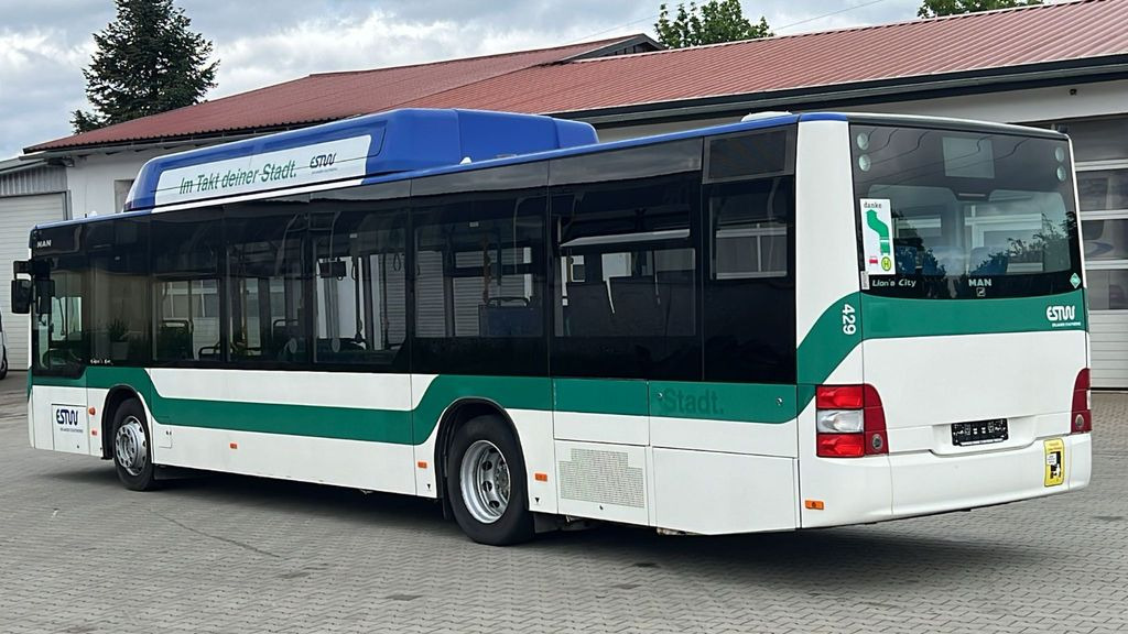 MAN A 21 CNG Euro 5 EEV MAN A 21 CNG Euro 5 EEV - Αστικό λεωφορείο: φωτογραφία 5 MAN A 21 CNG Euro 5 EEV MAN A 21 CNG Euro 5 EEV - Αστικό λεωφορείο: φωτογραφία 5
