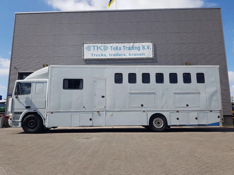 DAF 95.350 Paardenwagen met zitverblijf 7 paarden 7 horses - Φορτηγό μεταφοράς αλόγων: φωτογραφία 3 DAF 95.350 Paardenwagen met zitverblijf 7 paarden 7 horses - Φορτηγό μεταφοράς αλόγων: φωτογραφία 3
