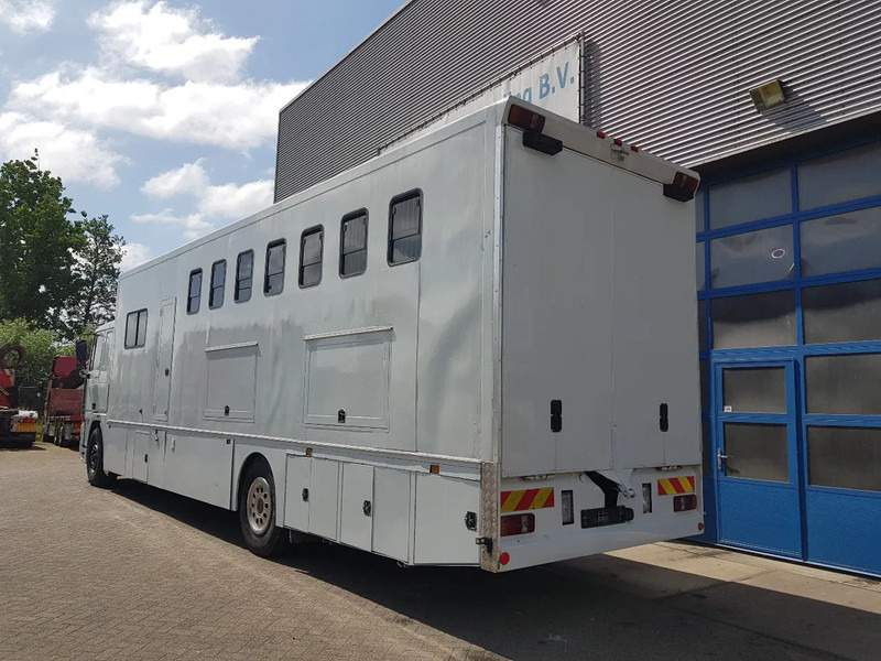 DAF 95.350 Paardenwagen met zitverblijf 7 paarden 7 horses - Φορτηγό μεταφοράς αλόγων: φωτογραφία 4 DAF 95.350 Paardenwagen met zitverblijf 7 paarden 7 horses - Φορτηγό μεταφοράς αλόγων: φωτογραφία 4