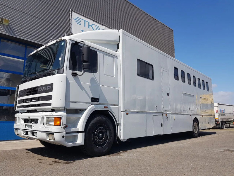 DAF 95.350 Paardenwagen met zitverblijf 7 paarden 7 horses - Φορτηγό μεταφοράς αλόγων: φωτογραφία 1 DAF 95.350 Paardenwagen met zitverblijf 7 paarden 7 horses - Φορτηγό μεταφοράς αλόγων: φωτογραφία 1