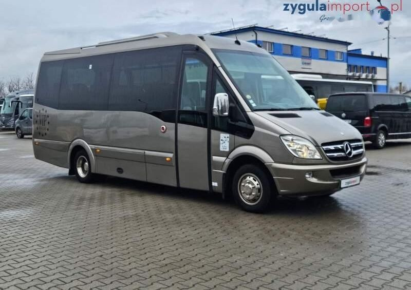 Μικρό λεωφορείο, Επιβατικό βαν Mercedes-Benz SPRINTER SPICA 519: φωτογραφία 1