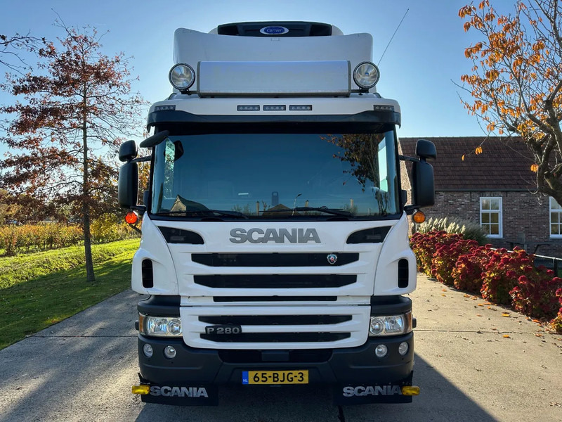 Scania P280 / NL TRUCK / EURO 6 / FULL AIR / CARRIER SUPRA 1250 / TOPCONDITION / LIFT+DOORS - Φορτηγό ψυγείο: φωτογραφία 2 Scania P280 / NL TRUCK / EURO 6 / FULL AIR / CARRIER SUPRA 1250 / TOPCONDITION / LIFT+DOORS - Φορτηγό ψυγείο: φωτογραφία 2