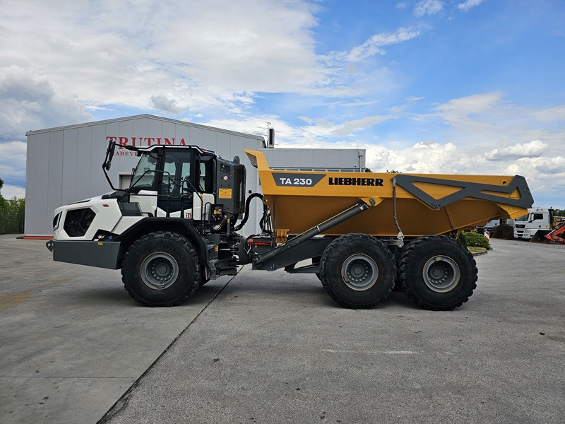 LIEBHERR TA230 Litronic - Αρθρωτό φορτηγό: φωτογραφία 1 LIEBHERR TA230 Litronic - Αρθρωτό φορτηγό: φωτογραφία 1