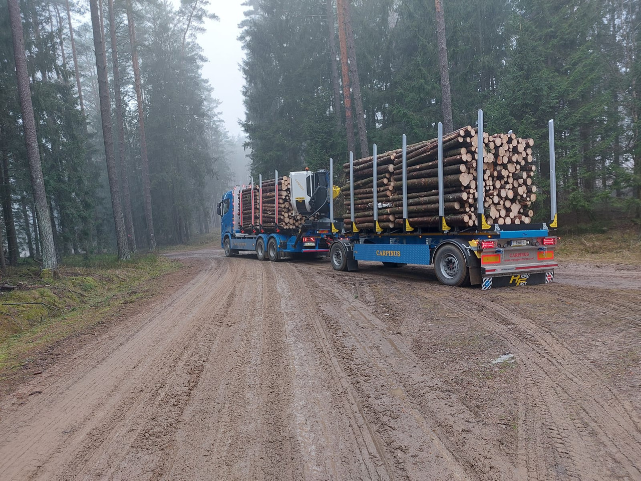 Hydrofast Przyczepa 2 osiowa do drewna stosowego HFP2/2-axle timber trailer HFP2 - Τρέιλερ ξυλείας: φωτογραφία 3 Hydrofast Przyczepa 2 osiowa do drewna stosowego HFP2/2-axle timber trailer HFP2 - Τρέιλερ ξυλείας: φωτογραφία 3