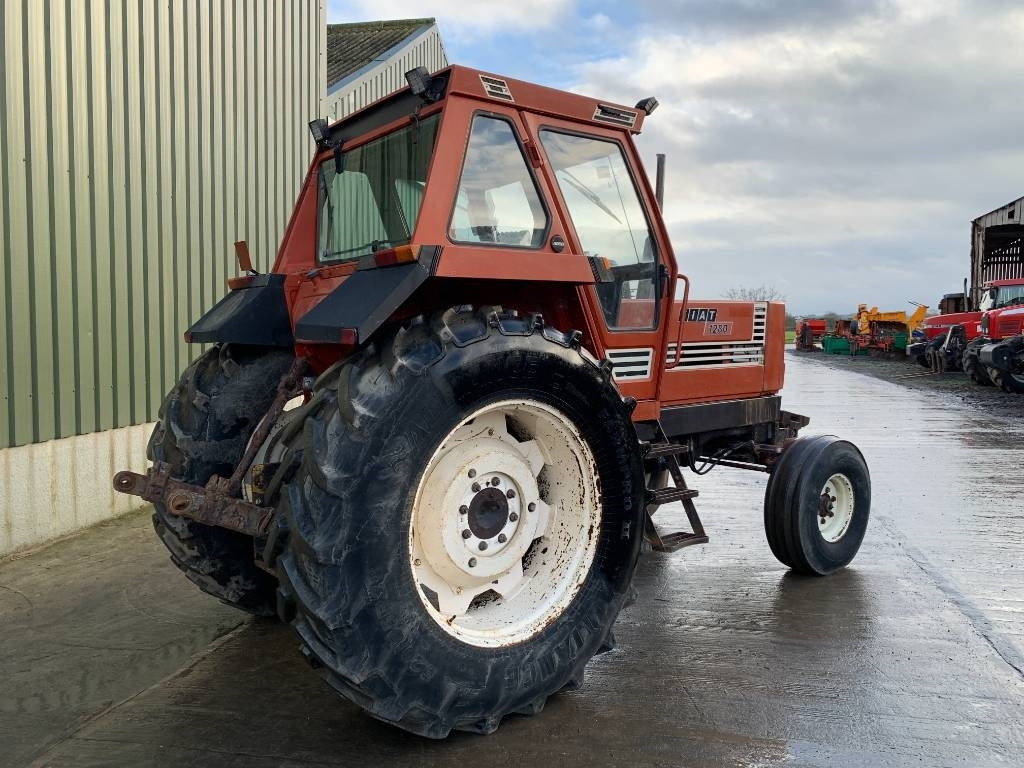 Fiat 1280 Turbo 2WD Tractor - Τρακτέρ: φωτογραφία 3 Fiat 1280 Turbo 2WD Tractor - Τρακτέρ: φωτογραφία 3