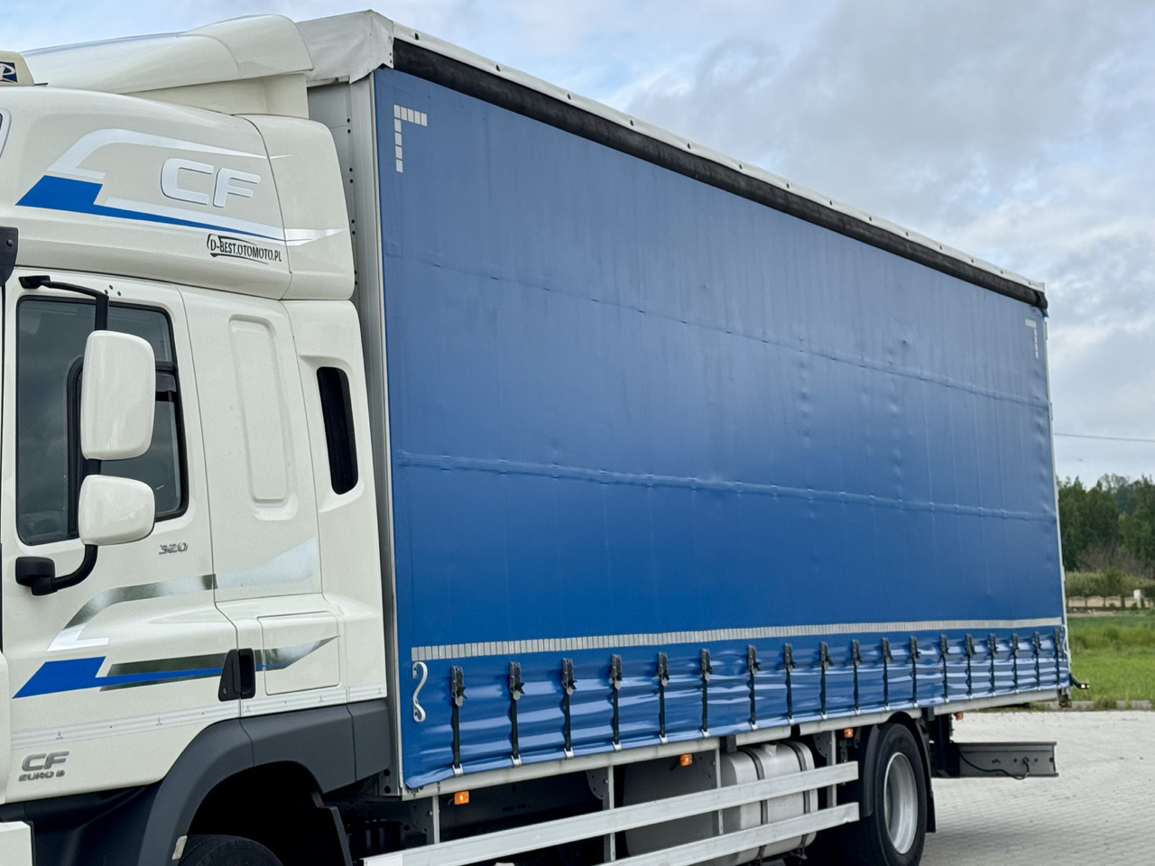 Φορτηγό μουσαμάς DAF CF 320 / FIRANKA / 24 EUROPALETY / SYPIALKA / AUTOMAT / KLIMA POSTOJOWA / 2017 ROK: φωτογραφία 18