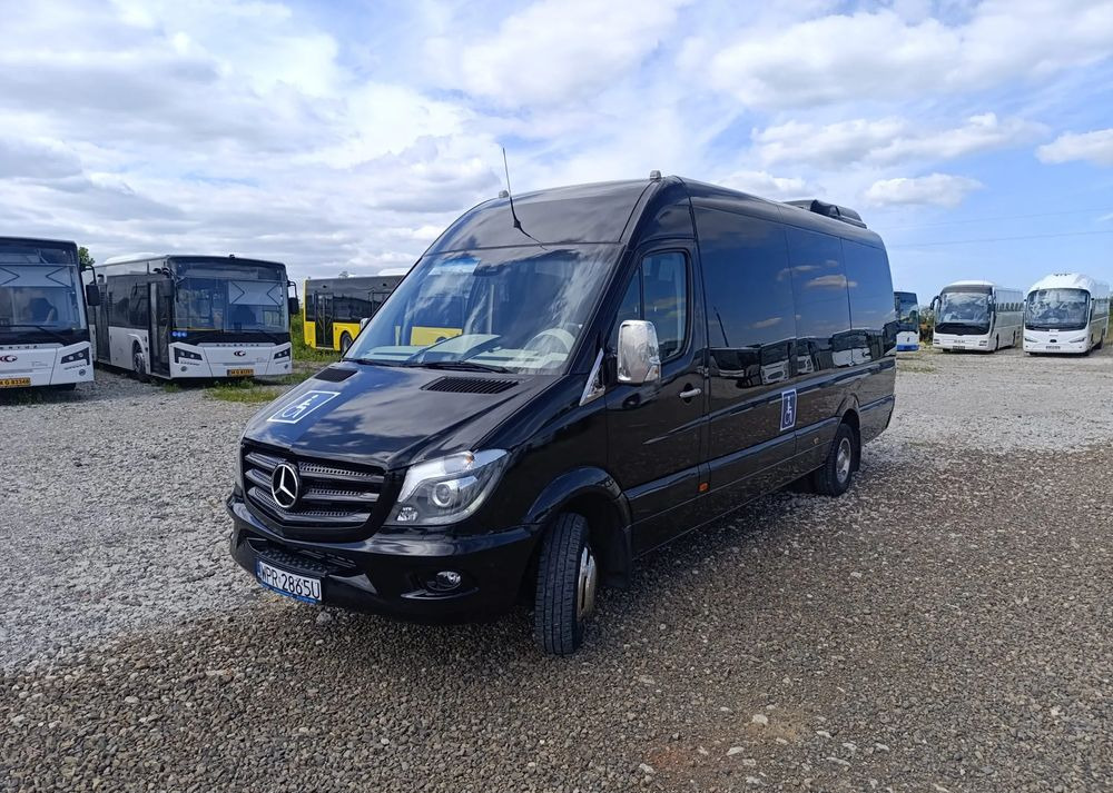 Μικρό λεωφορείο, Επιβατικό βαν Mercedes-Benz Sprinter 519: φωτογραφία 12 Μικρό λεωφορείο, Επιβατικό βαν Mercedes-Benz Sprinter 519: φωτογραφία 12