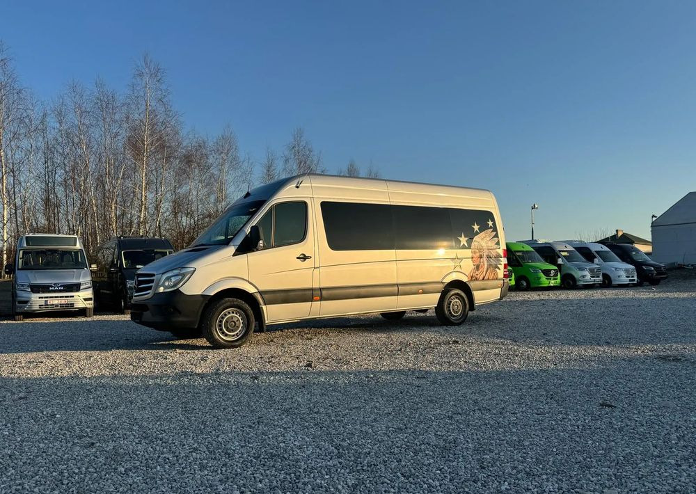 Μικρό λεωφορείο, Επιβατικό βαν Mercedes-Benz Sprinter: φωτογραφία 8