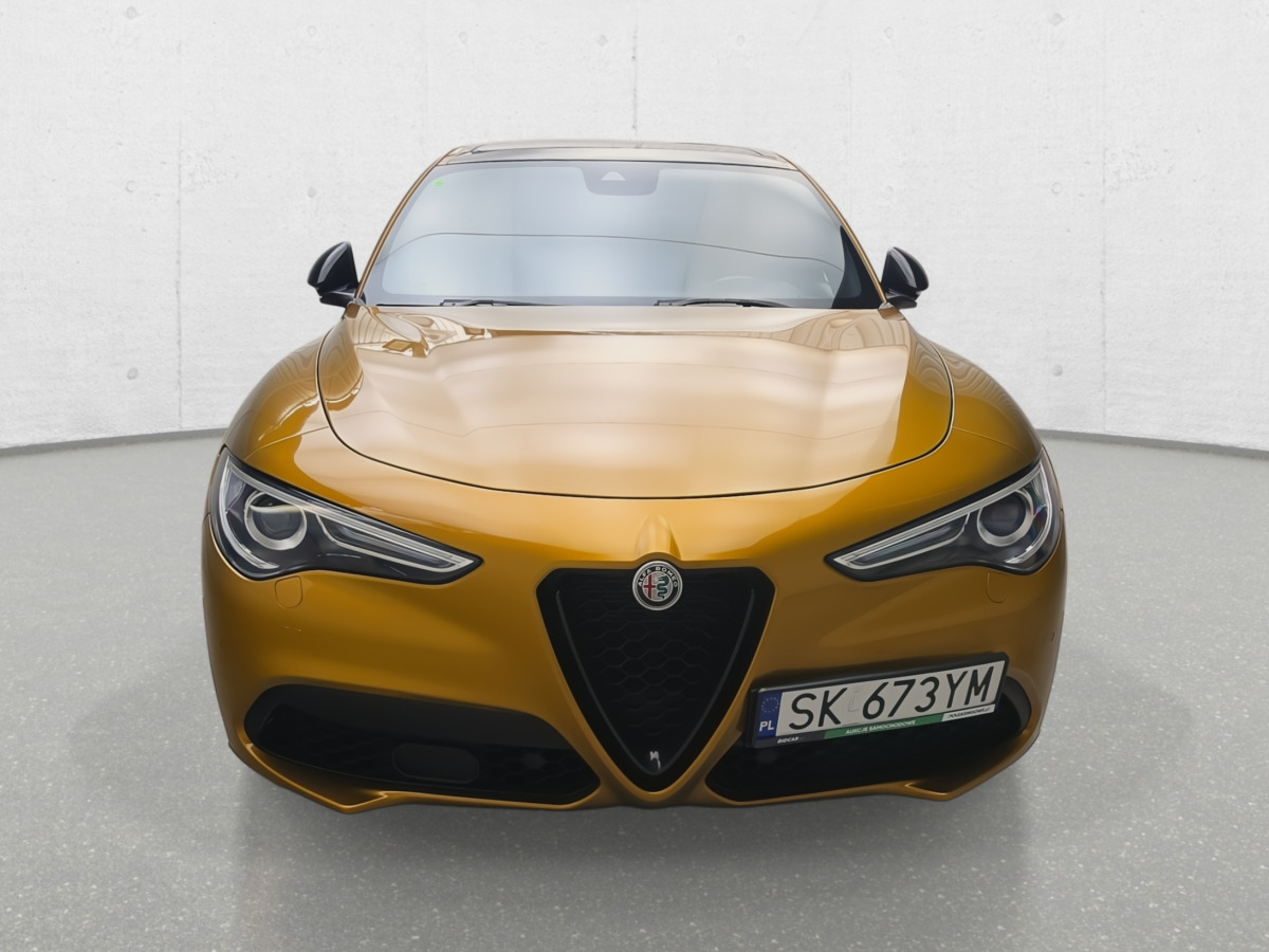 ALFA ROMEO STELVIO SUV - SUV: φωτογραφία 4 ALFA ROMEO STELVIO SUV - SUV: φωτογραφία 4