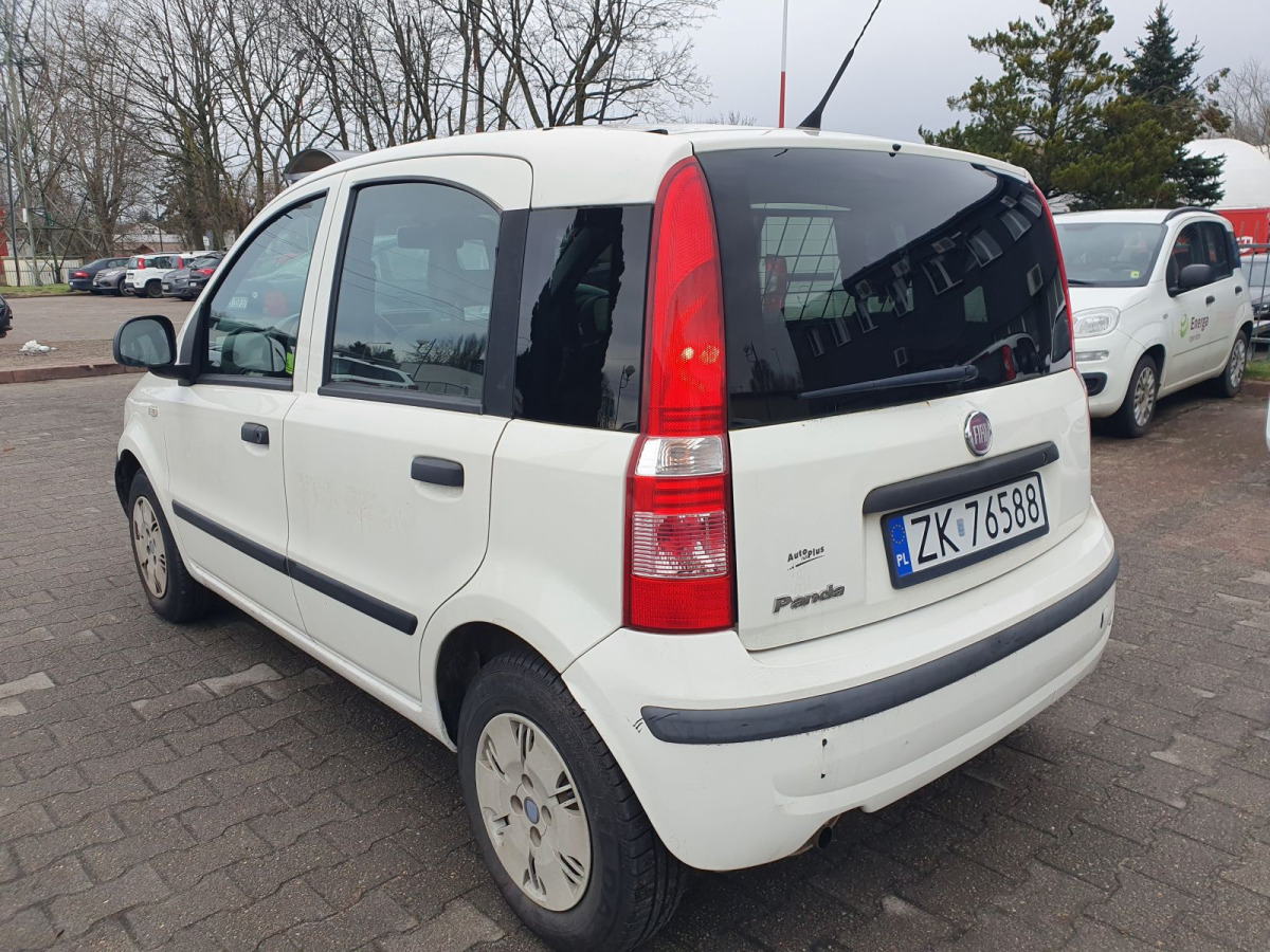 FIAT PANDA HATCHBACK - Hatchback: φωτογραφία 3 FIAT PANDA HATCHBACK - Hatchback: φωτογραφία 3