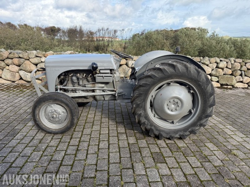 1960 Massey Ferguson Gråtass - Τρακτέρ: φωτογραφία 1 1960 Massey Ferguson Gråtass - Τρακτέρ: φωτογραφία 1