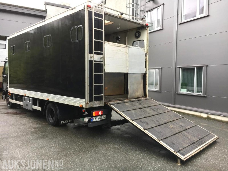 2004 DAF LF 45.220 - Hestebil / Transportbil, 202552km - Κοινοτικο όχημα/ Ειδικό όχημα: φωτογραφία 2 2004 DAF LF 45.220 - Hestebil / Transportbil, 202552km - Κοινοτικο όχημα/ Ειδικό όχημα: φωτογραφία 2