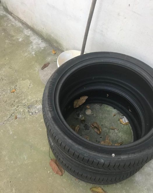 Anvelope Continental NOI ContisportContact 255 / 40 ZR 21 - Ελαστικό για Αυτοκίνητο: φωτογραφία 1 Anvelope Continental NOI ContisportContact 255 / 40 ZR 21 - Ελαστικό για Αυτοκίνητο: φωτογραφία 1