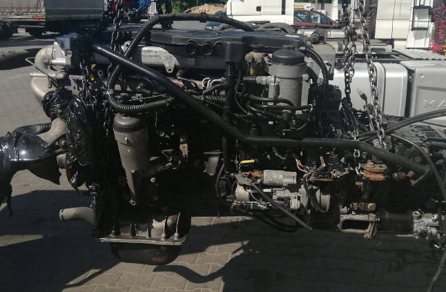 MAN D0836LFL60   MAN tgl - Κινητήρας για Φορτηγό: φωτογραφία 1 MAN D0836LFL60   MAN tgl - Κινητήρας για Φορτηγό: φωτογραφία 1