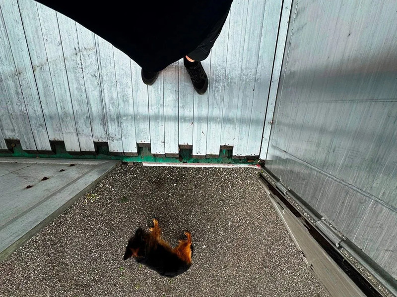 Επικαθήμενο μεταφορική βουτσάς KEL-BERG walking floor: φωτογραφία 9