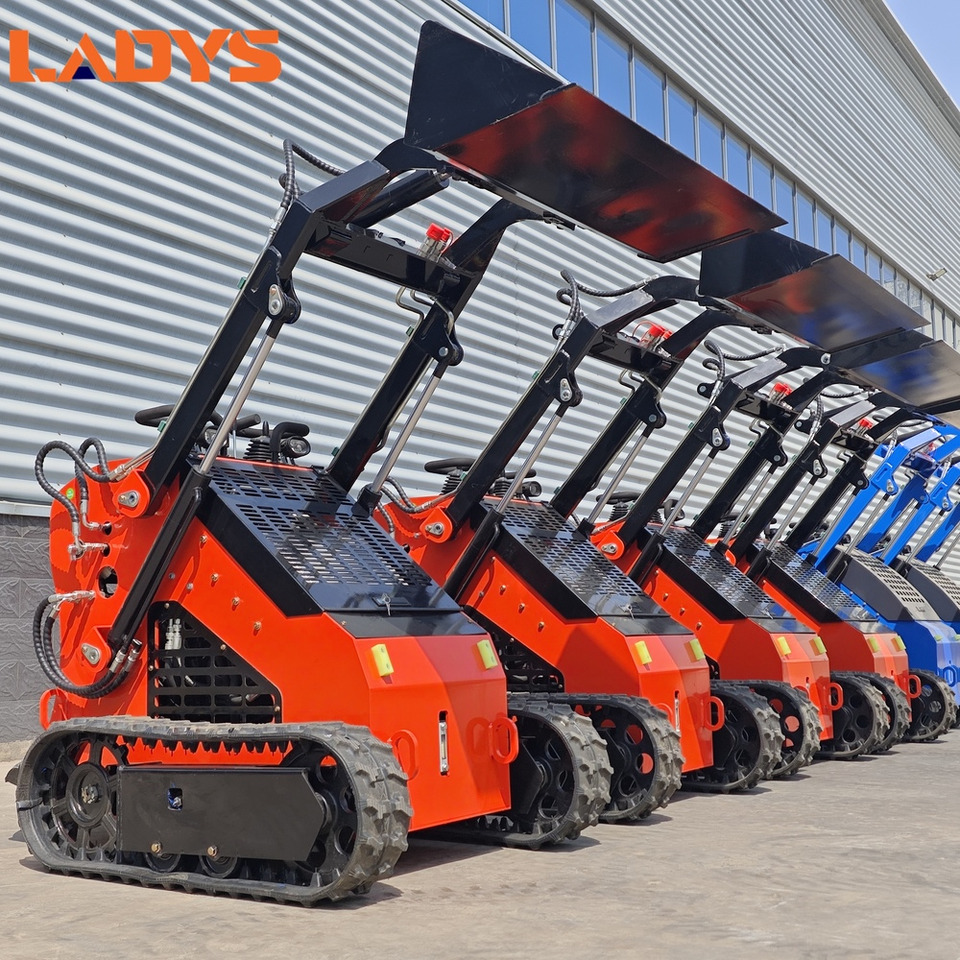 LADYS LA380 Mini Skid Steer CE Certification Kubota Engine(Factory Outlet) Mini Skid steer Loader For Sale - Φορτωτής πλάγιας ολίσθησης: φωτογραφία 1 LADYS LA380 Mini Skid Steer CE Certification Kubota Engine(Factory Outlet) Mini Skid steer Loader For Sale - Φορτωτής πλάγιας ολίσθησης: φωτογραφία 1
