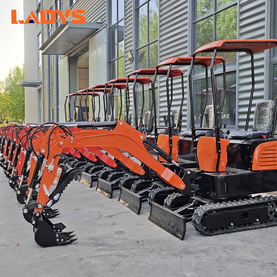 LADYS Mini Excavator CE Certification Kubota Engine(Factory Outlet) Mini Pelle Minibagger Minikoparka Miniexcavadora - Μίνι εκσκαφέας: φωτογραφία 1 LADYS Mini Excavator CE Certification Kubota Engine(Factory Outlet) Mini Pelle Minibagger Minikoparka Miniexcavadora - Μίνι εκσκαφέας: φωτογραφία 1