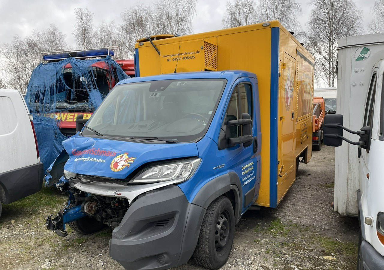 Fiat Ducato Ducato Autogrill Autosklep Foodtruck food truck Gastronomiczny 2018 - Αυτοκινούμενη καντίνα: φωτογραφία 3 Fiat Ducato Ducato Autogrill Autosklep Foodtruck food truck Gastronomiczny 2018 - Αυτοκινούμενη καντίνα: φωτογραφία 3