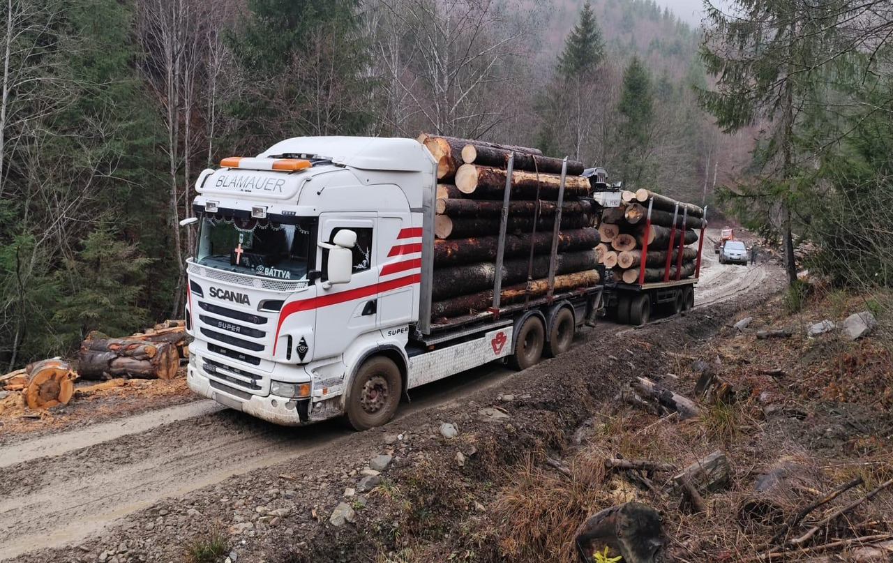 SCANIA R560 V8 - Φορτηγό ξυλείας, Φορτηγό με γερανό: φωτογραφία 2 SCANIA R560 V8 - Φορτηγό ξυλείας, Φορτηγό με γερανό: φωτογραφία 2